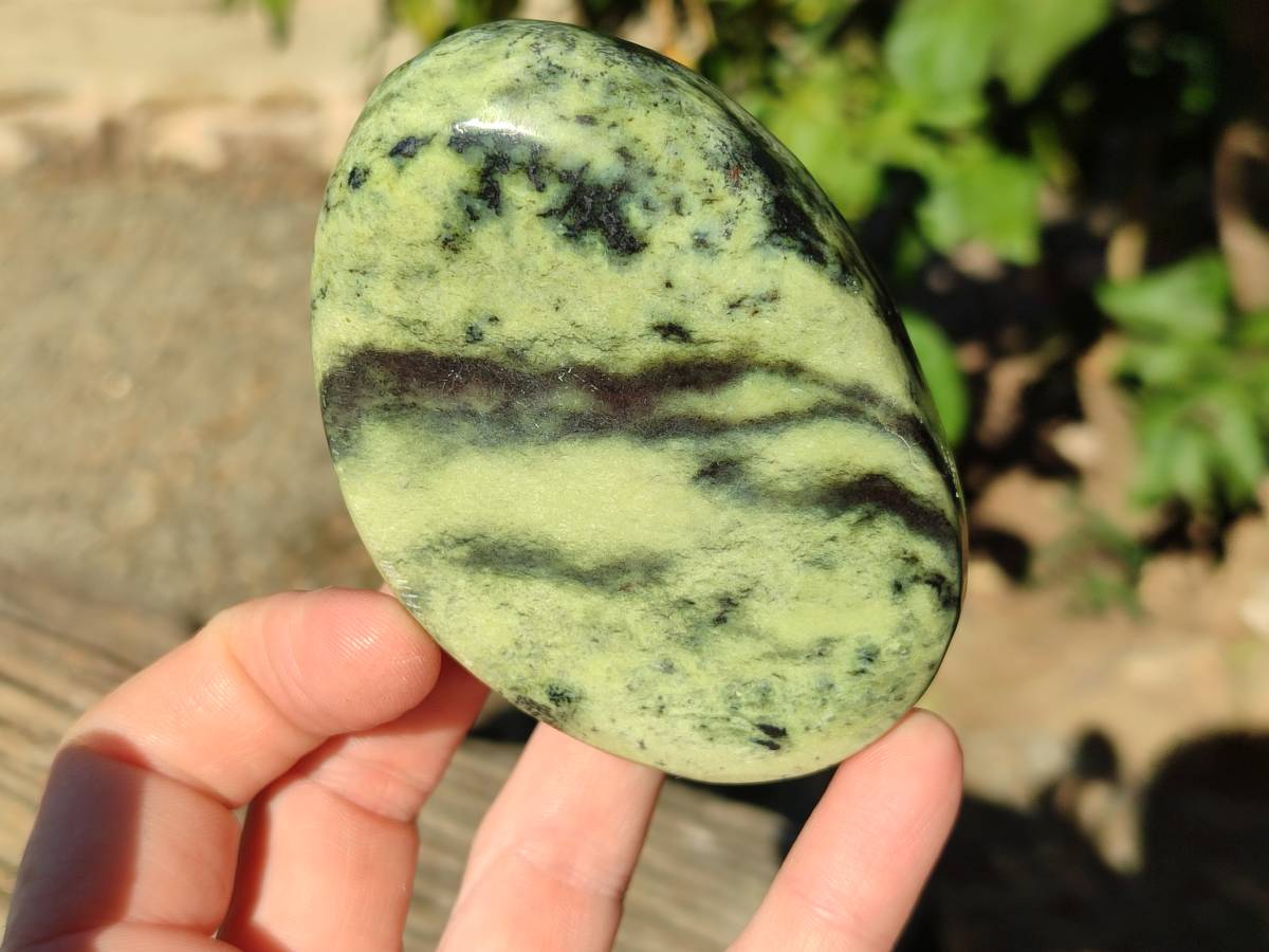 Polished Leopard Stone Standing Free Forms x 4 From Nyanga, Zimbabwe - Toprock Gemstones and Minerals 