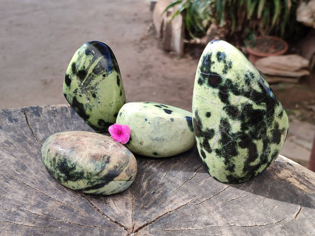 Polished Leopard Stone Standing Free Forms x 4 From Nyanga, Zimbabwe - Toprock Gemstones and Minerals 
