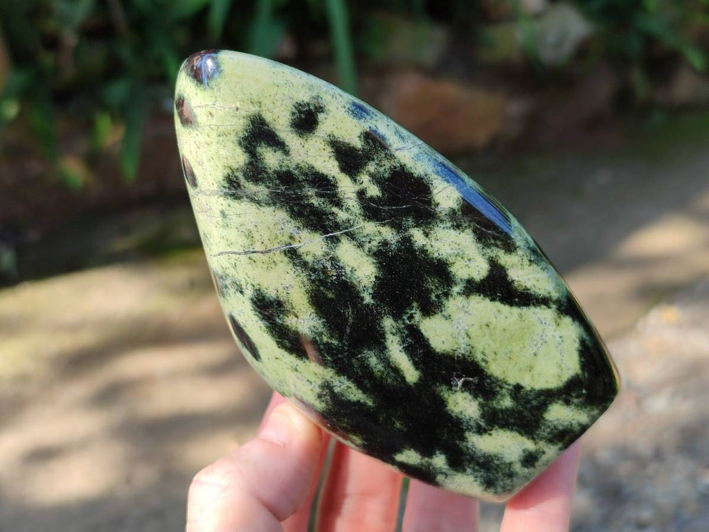 Polished Leopard Stone Standing Free Forms x 4 From Nyanga, Zimbabwe - Toprock Gemstones and Minerals 