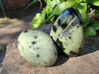 Polished Leopard Stone Standing Free Forms x 4 From Nyanga, Zimbabwe - Toprock Gemstones and Minerals 