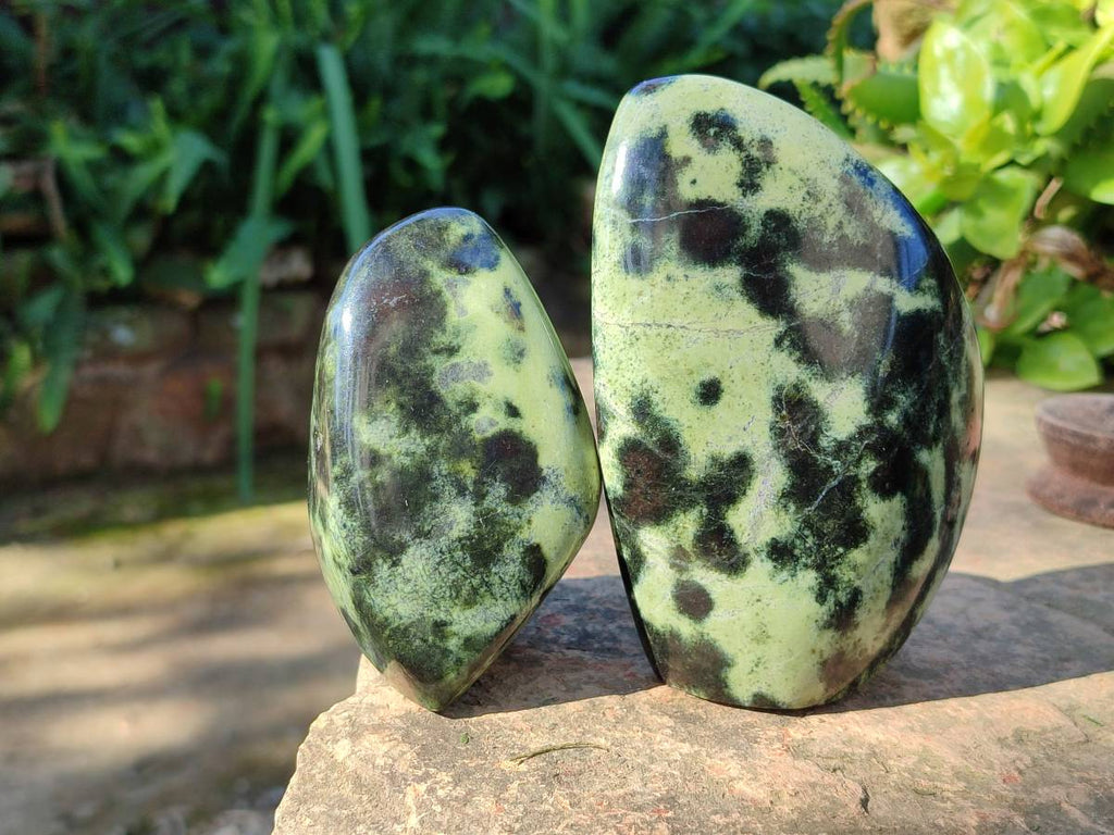 Polished Leopard Stone Standing Free Forms x 4 From Nyanga, Zimbabwe - Toprock Gemstones and Minerals 