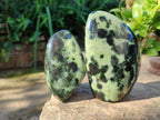 Polished Leopard Stone Standing Free Forms x 4 From Nyanga, Zimbabwe - Toprock Gemstones and Minerals 