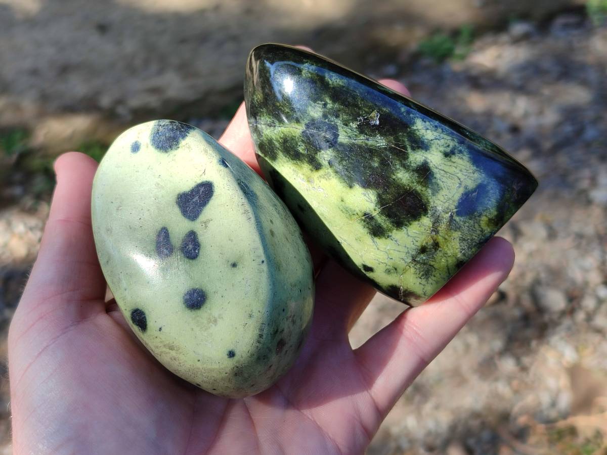 Polished Leopard Stone Standing Free Forms x 4 From Nyanga, Zimbabwe - Toprock Gemstones and Minerals 