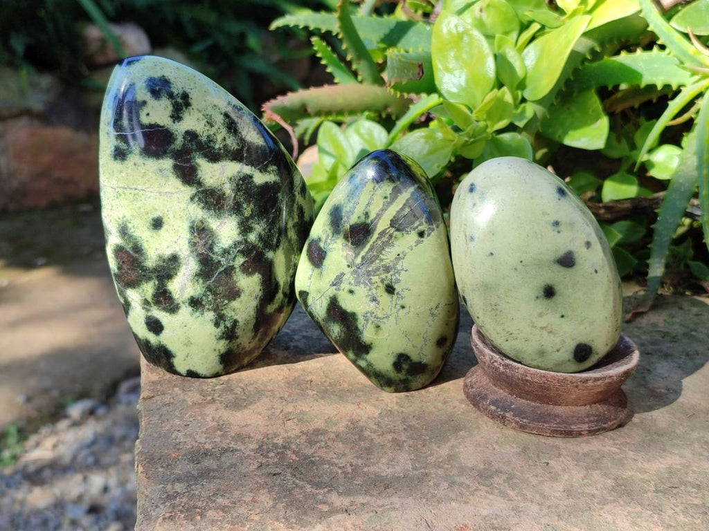 Polished Leopard Stone Standing Free Forms x 4 From Nyanga, Zimbabwe - Toprock Gemstones and Minerals 