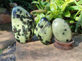 Polished Leopard Stone Standing Free Forms x 4 From Nyanga, Zimbabwe - Toprock Gemstones and Minerals 