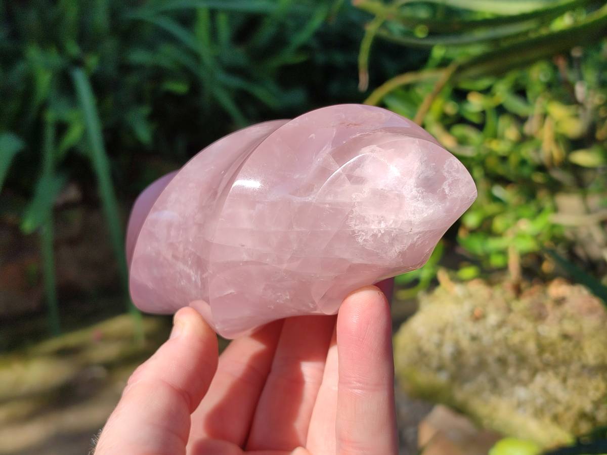 Polished Rose Quartz Flames x 2 Madagascar - Toprock Gemstones and Minerals 