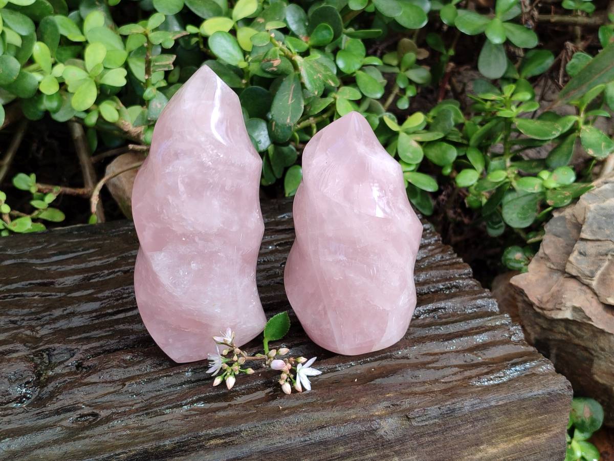 Polished Rose Quartz Flames x 2 Madagascar - Toprock Gemstones and Minerals 