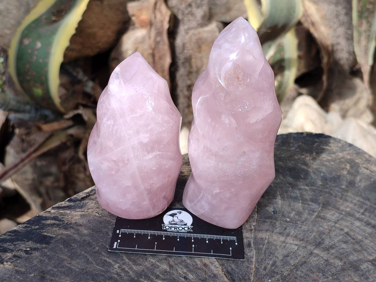 Polished Rose Quartz Flames x 2 Madagascar - Toprock Gemstones and Minerals 