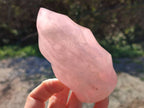 Polished Rose Quartz Flames x 2 Madagascar - Toprock Gemstones and Minerals 