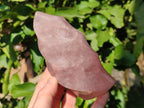 Polished Rose Quartz Flames x 2 Madagascar - Toprock Gemstones and Minerals 