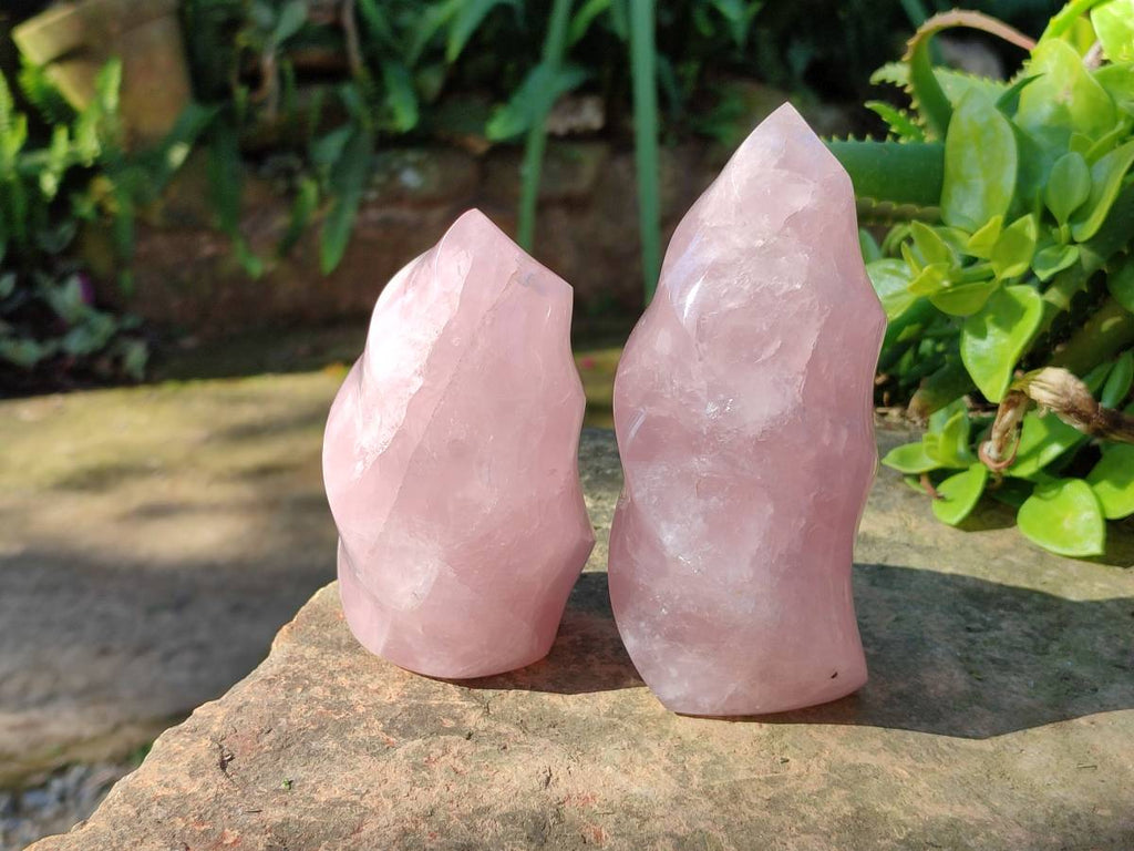 Polished Rose Quartz Flames x 2 Madagascar - Toprock Gemstones and Minerals 