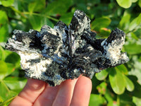 Natural Foitite Fibrous Black Tourmaline Specimens x 6 From Erongo, Namibia - Toprock Gemstones and Minerals 
