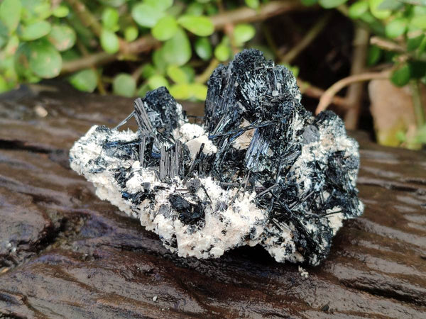 Natural Foitite Fibrous Black Tourmaline Specimens x 6 From Erongo, Namibia - Toprock Gemstones and Minerals 