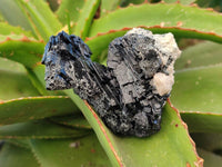 Natural Foitite Fibrous Black Tourmaline Specimens x 6 From Erongo, Namibia - Toprock Gemstones and Minerals 