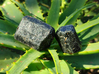 Natural Alluvial Schorl Black Tourmaline Crystals x 2.02 Kg Lot, From Zimbabwe