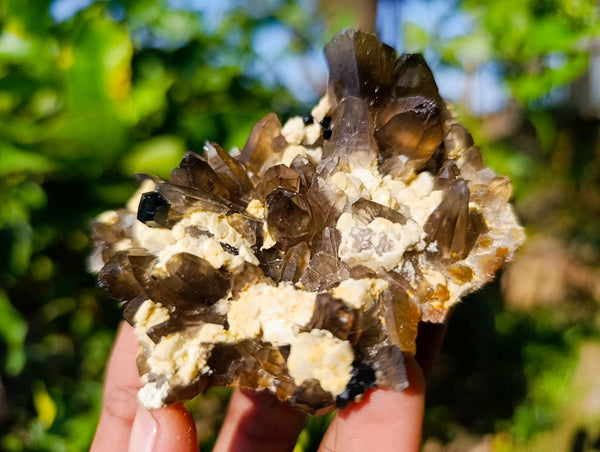 Natural Smokey Quartz with Schorl and Hyalite Specimens x 6 From Erongo, Namibia
