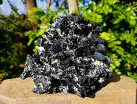 Natural Schorl Black Tourmaline Specimen x 1 From Erongo, Namibia