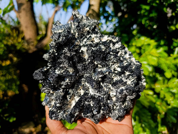 Natural Schorl Black Tourmaline Specimen x 1 From Erongo, Namibia