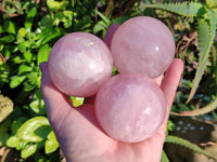Polished Gemmy Rose Quartz Spheres x 4 From Madagascar