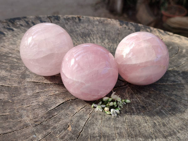 Polished Gemmy Rose Quartz Spheres x 4 From Madagascar