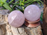 Polished Gemmy Rose Quartz Spheres x 4 From Madagascar