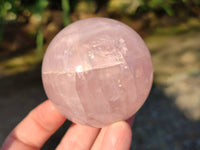 Polished Gemmy Rose Quartz Spheres x 4 From Madagascar