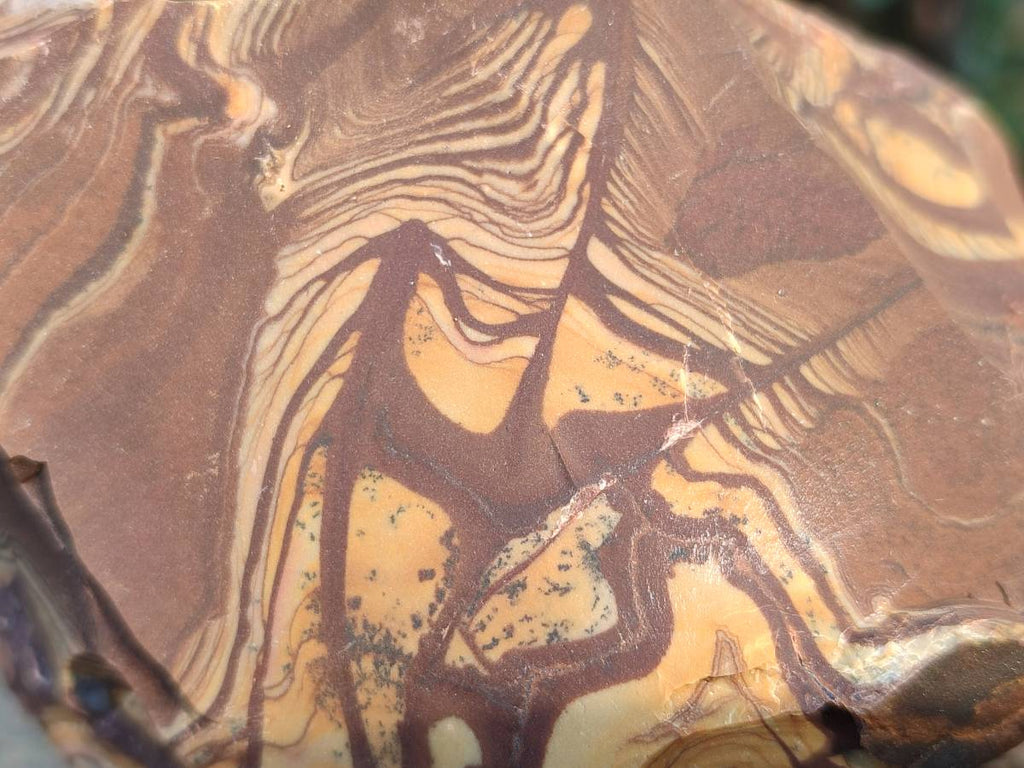 Natural Selected Nguni Jasper Cobbed Specimens x 12 From Prieska, South Africa - Toprock Gemstones and Minerals 