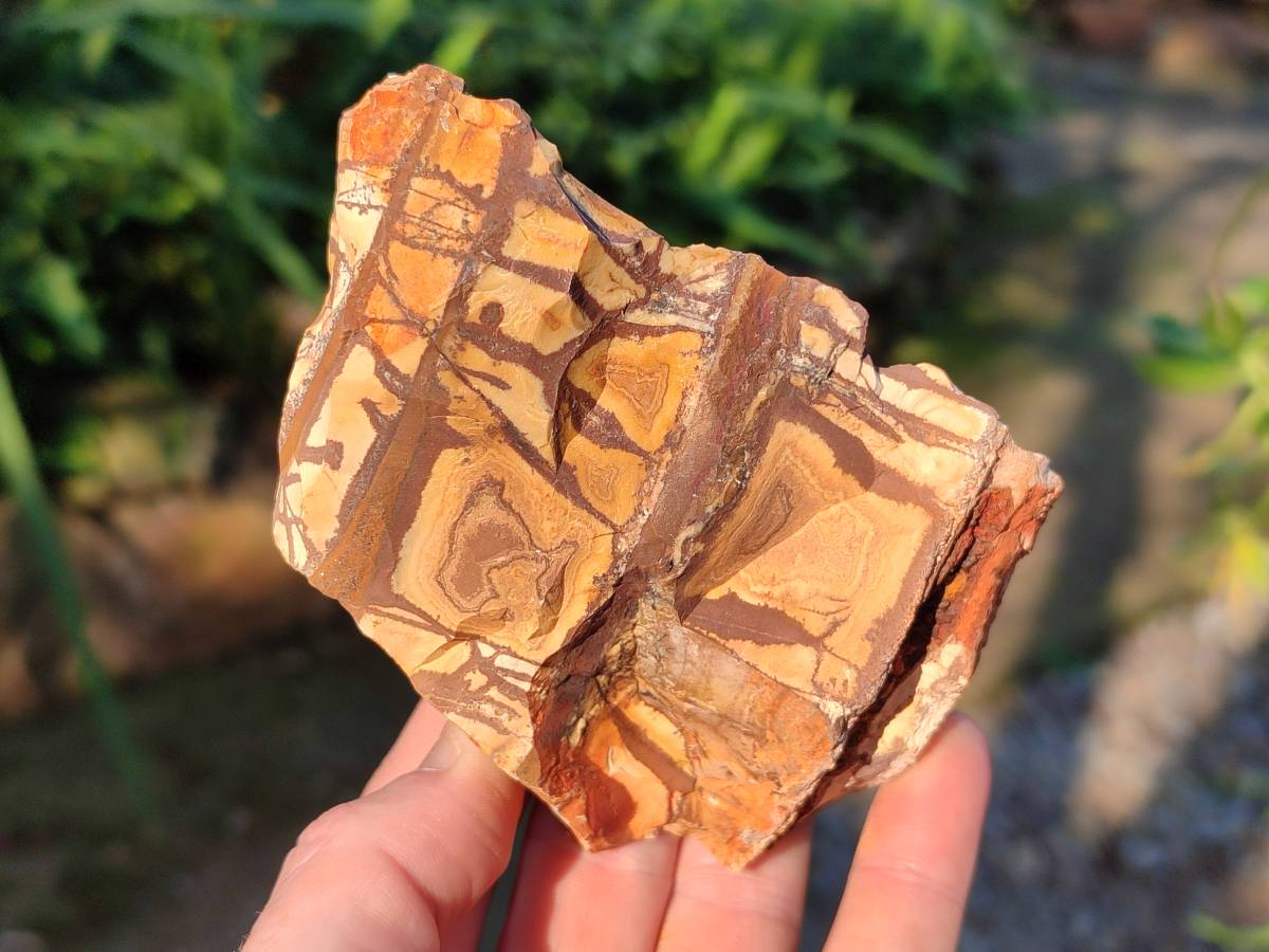 Natural Selected Nguni Jasper Cobbed Specimens x 12 From Prieska, South Africa - Toprock Gemstones and Minerals 