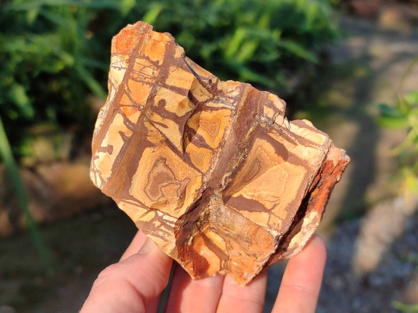 Natural Selected Nguni Jasper Cobbed Specimens x 12 From Prieska, South Africa