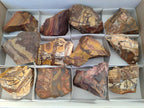 Natural Selected Nguni Jasper Cobbed Specimens x 12 From Prieska, South Africa - Toprock Gemstones and Minerals 