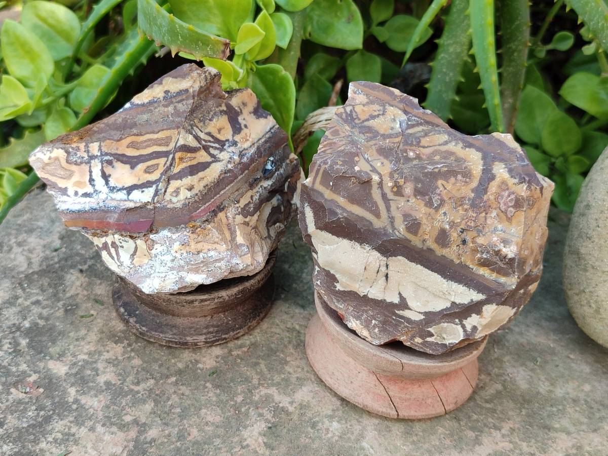 Natural Selected Nguni Jasper Cobbed Specimens x 12 From Prieska, South Africa - Toprock Gemstones and Minerals 