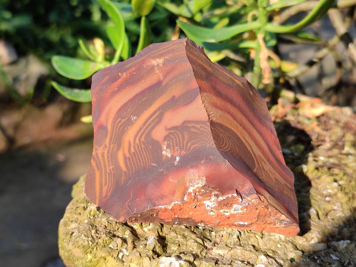 Natural Selected Nguni Jasper Cobbed Specimens x 12 From Prieska, South Africa - Toprock Gemstones and Minerals 