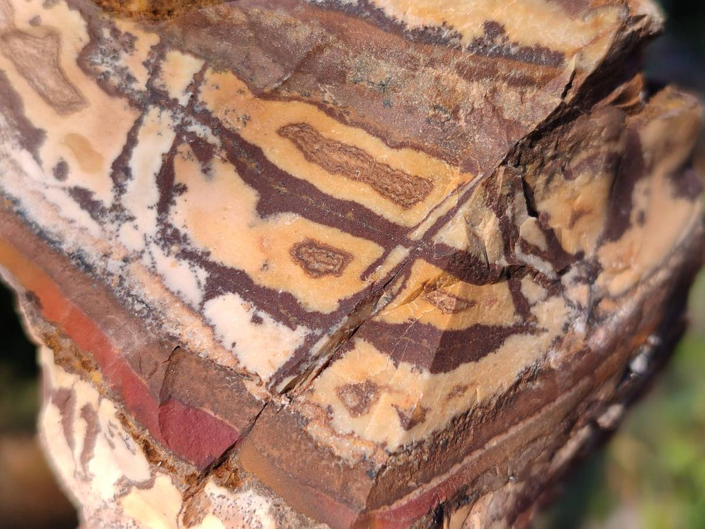 Natural Selected Nguni Jasper Cobbed Specimens x 12 From Prieska, South Africa - Toprock Gemstones and Minerals 