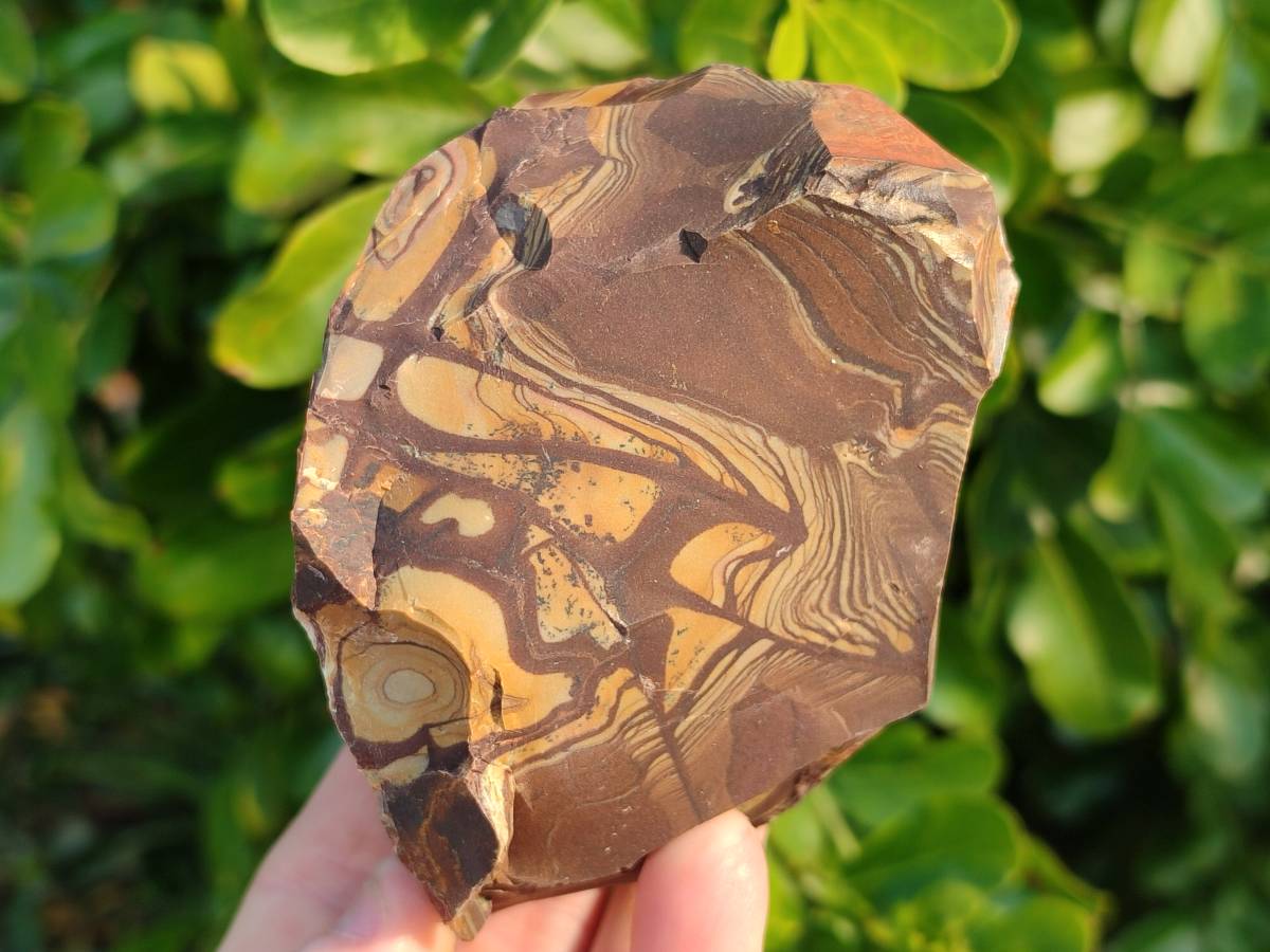 Natural Selected Nguni Jasper Cobbed Specimens x 12 From Prieska, South Africa - Toprock Gemstones and Minerals 