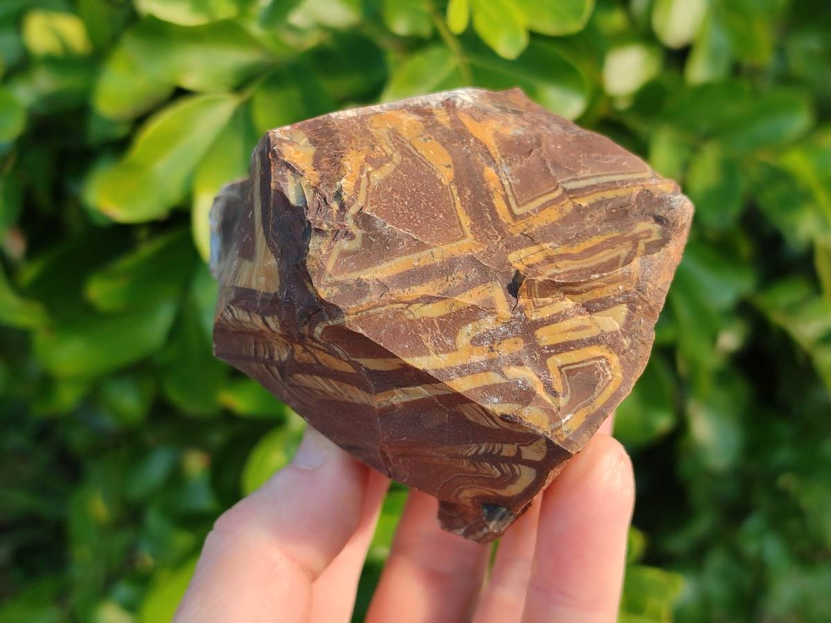 Natural Selected Nguni Jasper Cobbed Specimens x 12 From Prieska, South Africa - Toprock Gemstones and Minerals 