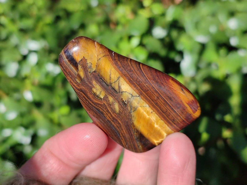 Polished Tiger's Eye Free Forms x 2.6 Kg Lot From Prieska, South Africa - Toprock Gemstones and Minerals 