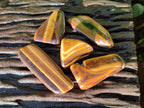 Polished Tiger's Eye Free Forms x 2.6 Kg Lot From Prieska, South Africa - Toprock Gemstones and Minerals 