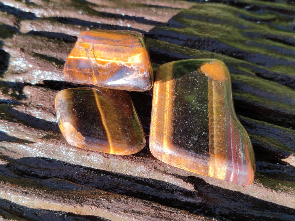 Polished Tiger's Eye Free Forms x 2.6 Kg Lot From Prieska, South Africa - Toprock Gemstones and Minerals 