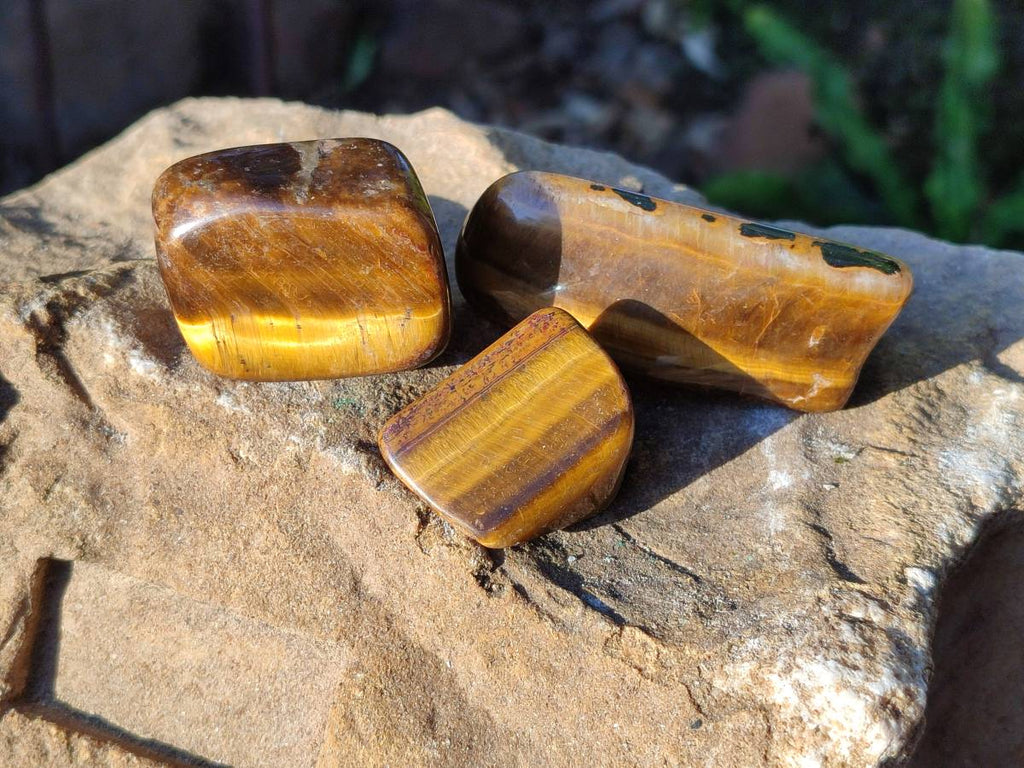 Polished Tiger's Eye Free Forms x 2.6 Kg Lot From Prieska, South Africa - Toprock Gemstones and Minerals 