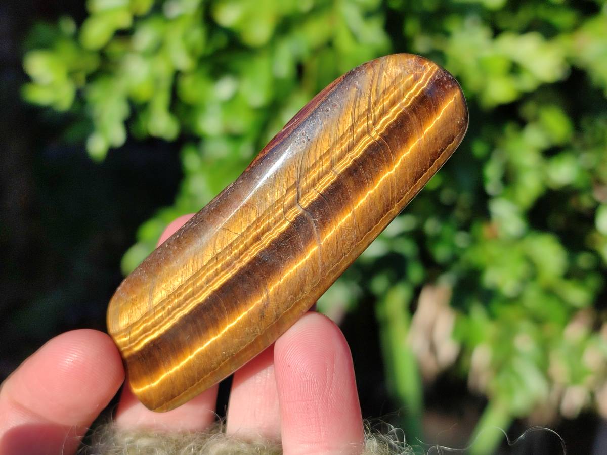 Polished Tiger's Eye Free Forms x 2.6 Kg Lot From Prieska, South Africa - Toprock Gemstones and Minerals 