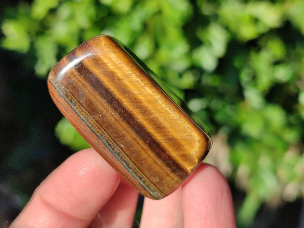 Polished Tiger's Eye Free Forms x 2.6 Kg Lot From Prieska, South Africa - Toprock Gemstones and Minerals 