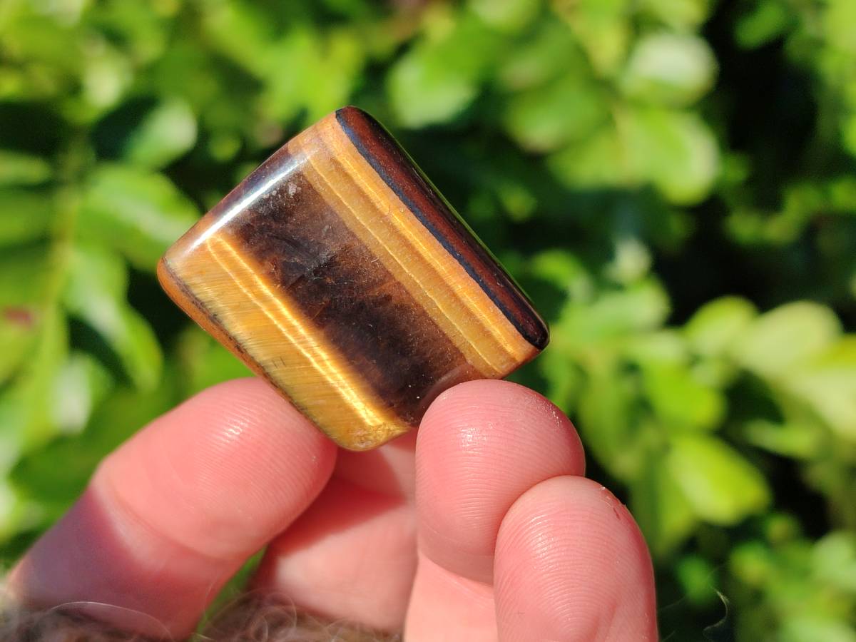 Polished Tiger's Eye Free Forms x 2.6 Kg Lot From Prieska, South Africa - Toprock Gemstones and Minerals 