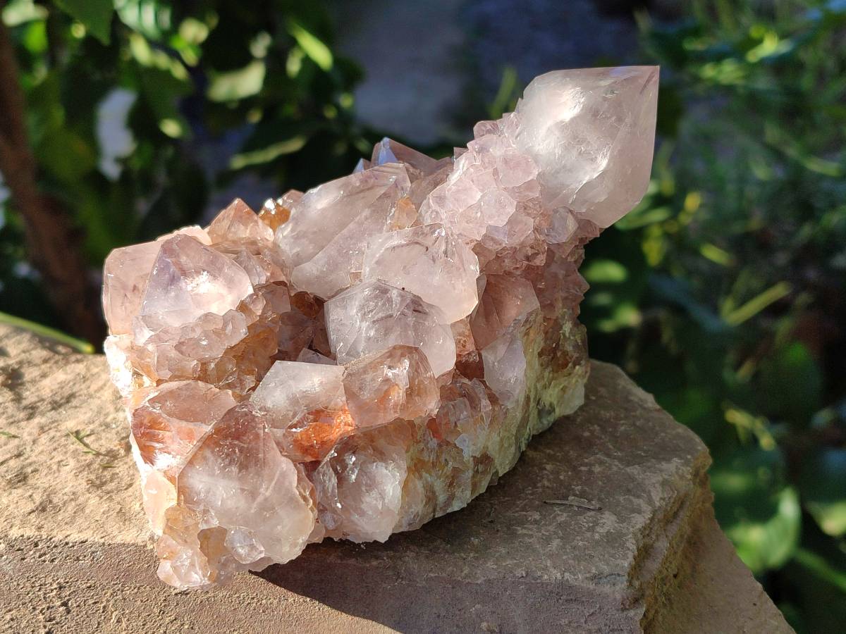 Natural Smokey Amethyst Spirit Quartz Clusters x 2 From Boekenhouthoek, South Africa - Toprock Gemstones and Minerals 