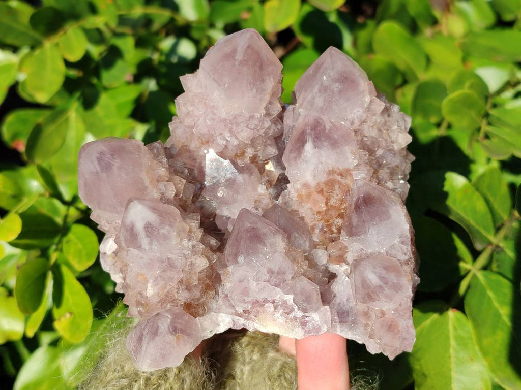 Natural Smokey Amethyst Spirit Quartz Clusters x 2 From Boekenhouthoek, South Africa - Toprock Gemstones and Minerals 