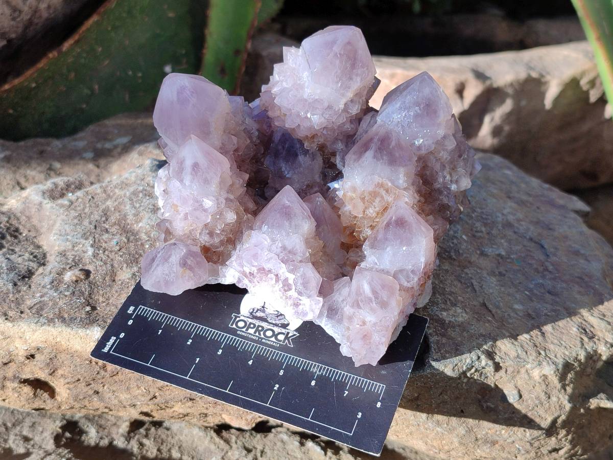 Natural Smokey Amethyst Spirit Quartz Clusters x 2 From Boekenhouthoek, South Africa - Toprock Gemstones and Minerals 