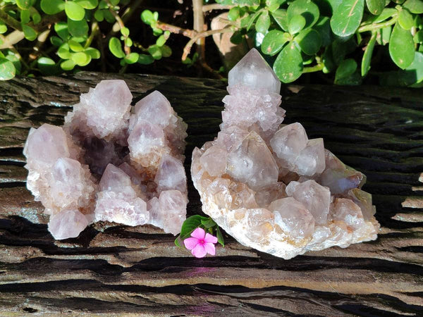 Natural Smokey Amethyst Spirit Quartz Clusters x 2 From Boekenhouthoek, South Africa
