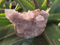 Natural Smokey Amethyst Spirit Quartz Clusters x 2 From Boekenhouthoek, South Africa