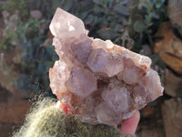 Natural Smokey Amethyst Spirit Quartz Clusters x 2 From Boekenhouthoek, South Africa