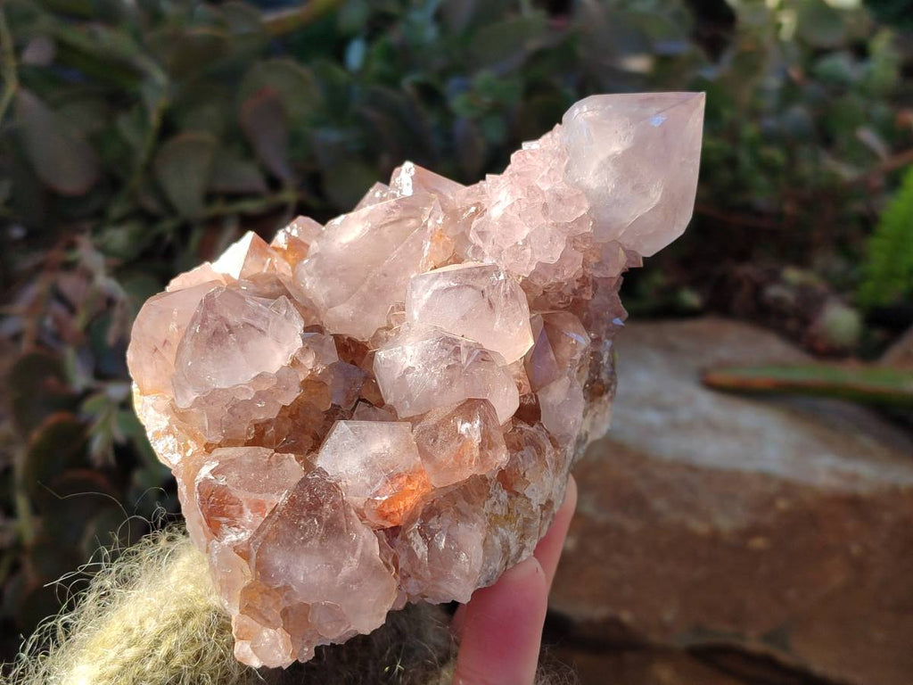 Natural Smokey Amethyst Spirit Quartz Clusters x 2 From Boekenhouthoek, South Africa - Toprock Gemstones and Minerals 