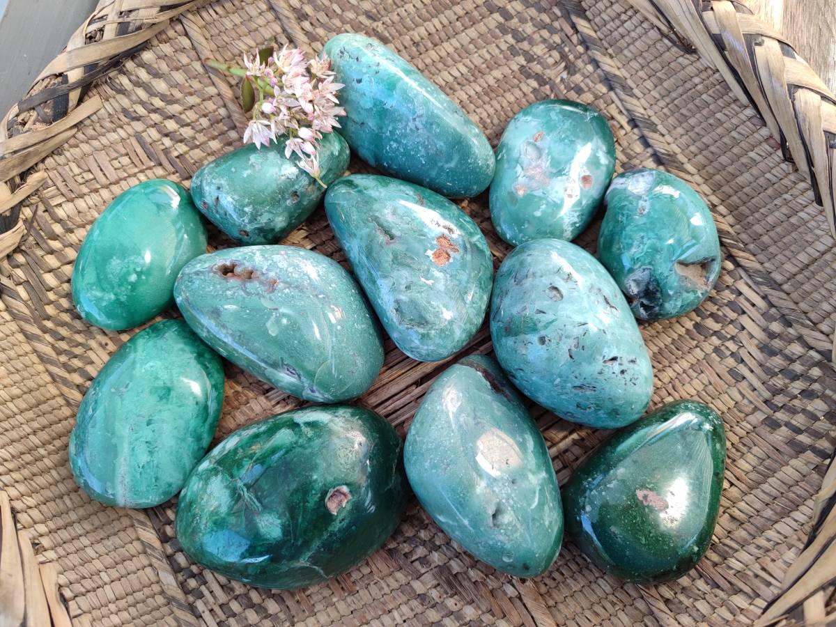 Polished Emerald Mtorolite Free Forms x 12 From Mutorashanga, Zimbabwe - Toprock Gemstones and Minerals 